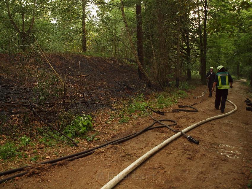 Waldbrand Bergisch Gladbach Bensberg P185.JPG